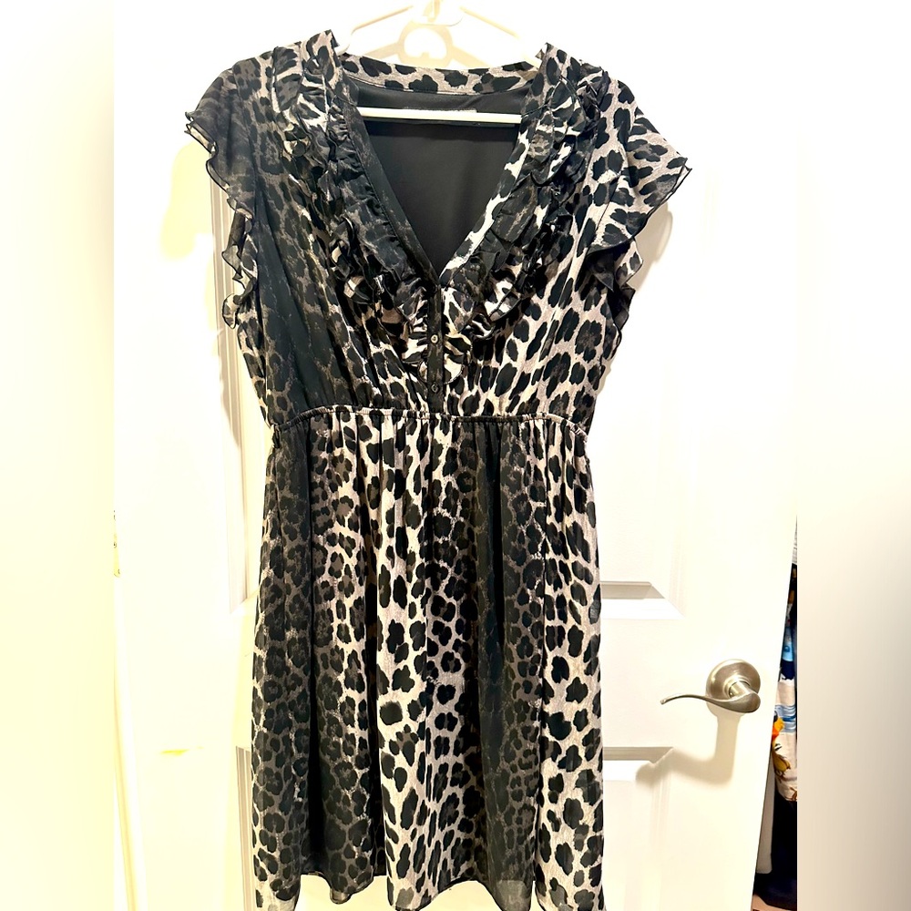 Zara Leopard Print Dress